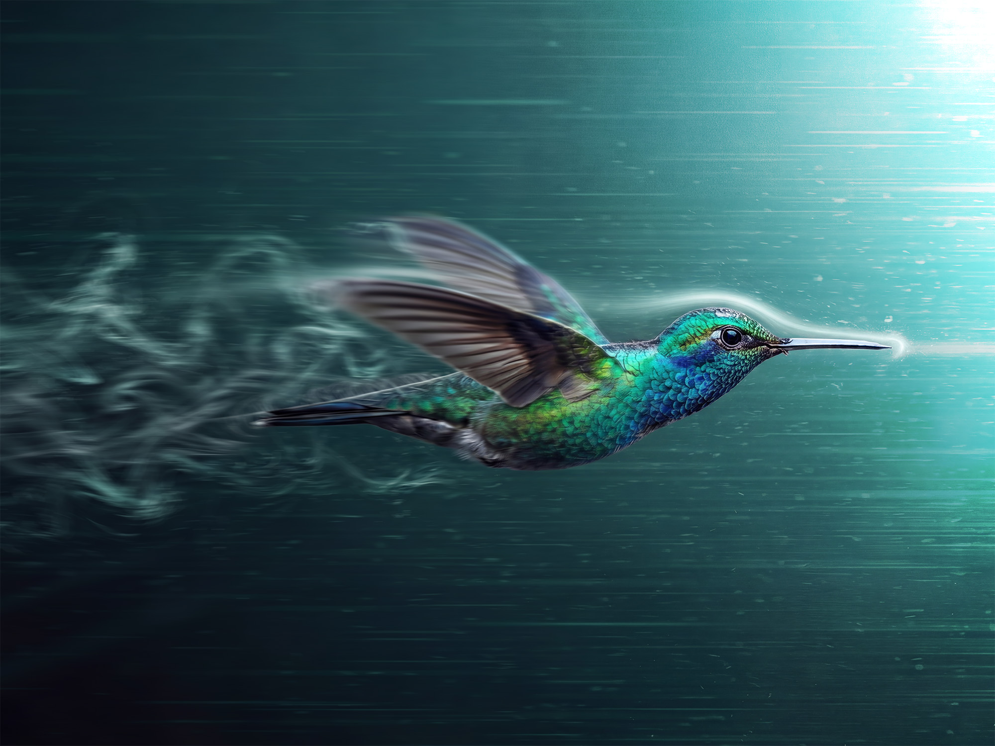 Portfolio image 11